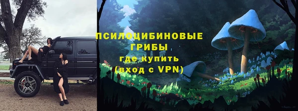 кокс Алексин