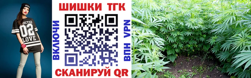 Купить закладки  Карабаш  Конопля индика 
